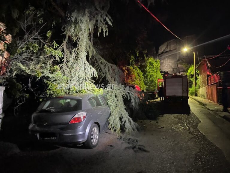 Πεύκο κατέρρευσε και καταπλάκωσε αυτοκίνητο (φωτο)