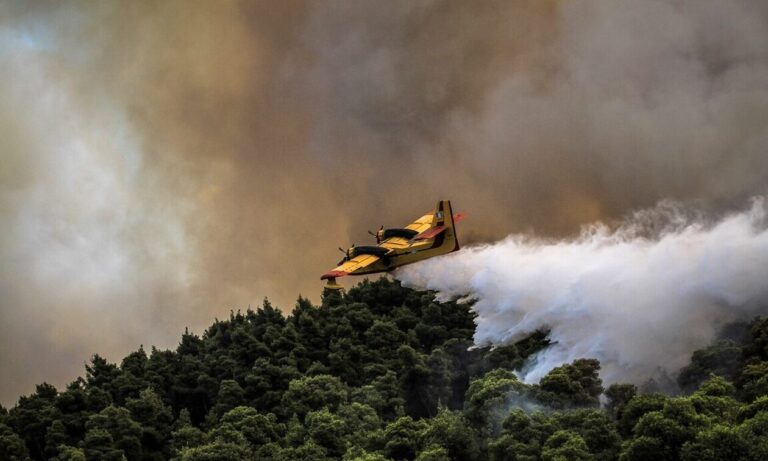 Μας κυβερνούν οι άχρηστοι