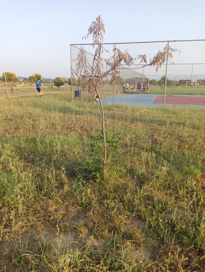 Καταγγελία αναγνώστη για την οικτρή κατάσταση του αθλητικού κέντρου Ριζώματος