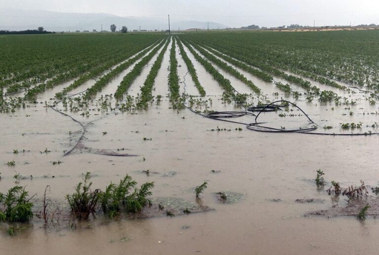 Εκτεταμένες ζημιές από χαλάζι και έντονη βροχόπτωση στο Δήμο Σοφάδων