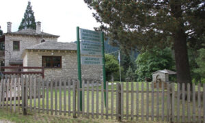 Profile