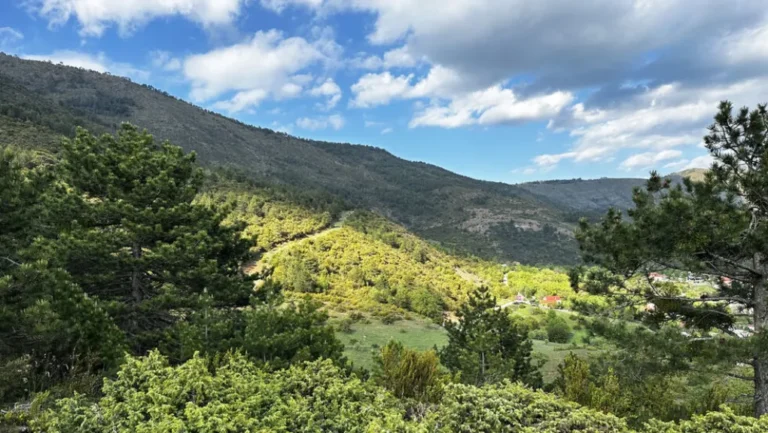 Αντιδράσεις για τα θηριώδη αιολικά στη Βόρεια Πίνδο