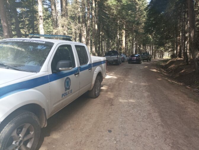 Φυτεία με 100 δενδρύλλια χασίς στα ορεινά των Τρικάλων