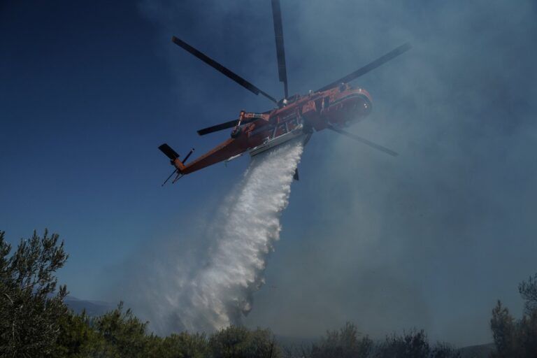 Λάρισα: Φωτιά σε δύσβατη περιοχή στην Καρυά Ολύμπου