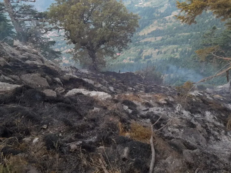 Παραμένουν Πυροσβεστικές δυνάμεις στα Στουρναραίικα υπό τον φόβο αναζωπύρωσης