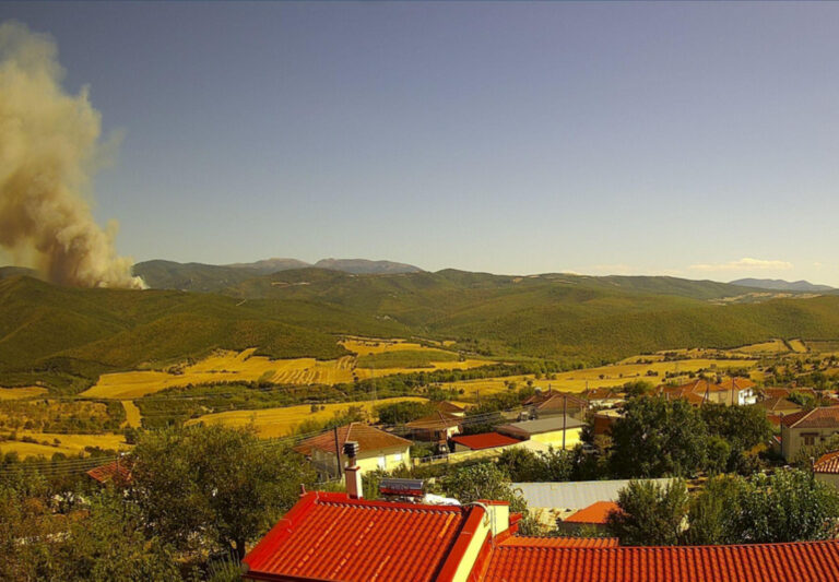 Συναγερμός για φωτιά σε δασική έκταση στη Σκοπιά Φαρσάλων (φωτό – βίντεο)