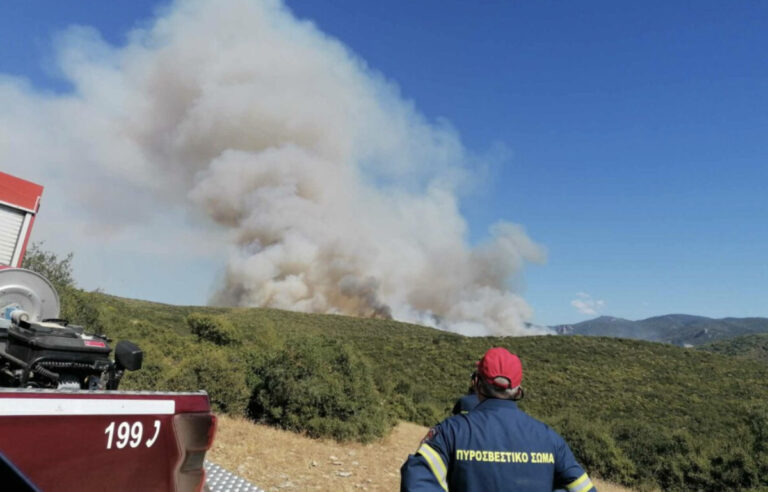 Ολονύχτια «μάχη» των πυροσβεστών με τη φωτιά στην περιοχή των Φαρσάλων