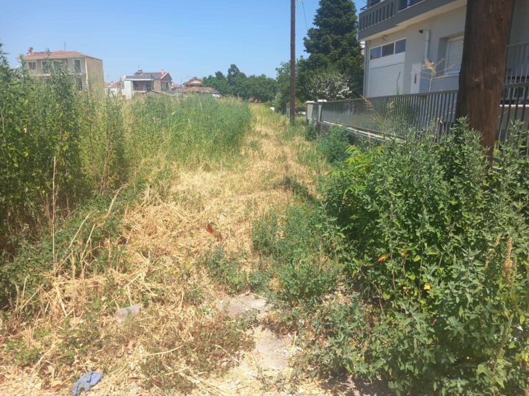 «Αν δεν μας φάνε τα φίδια, σίγουρα θα καούμε» λέει κάτοικος των Τρικάλων