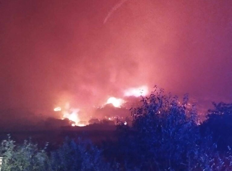 Τρικαλινοί πυροσβέστες στη μάχη με τις φλόγες στη Θράκη (φωτό – βίντεο)