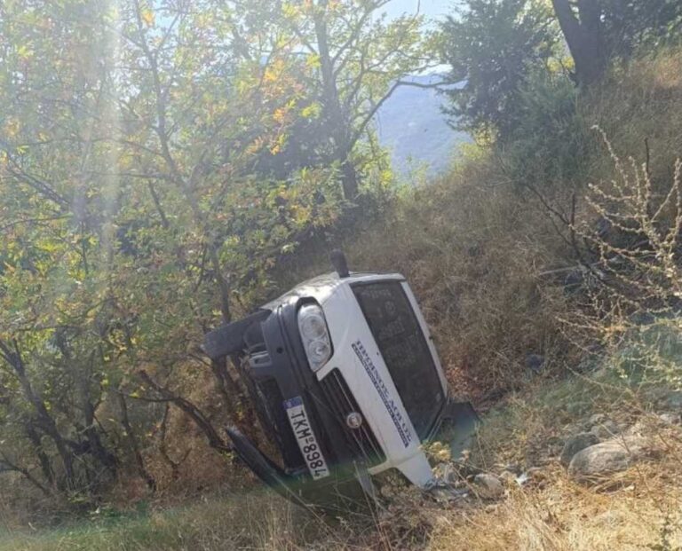 Εξετράπη αυτοκίνητο διανομής εφημερίδων μετά από «διασταύρωση» με αγριογούρουνο