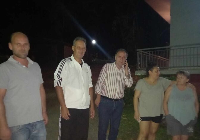 Ολόκληρη συστάδα πλατάνων κόβεται στο Ξυλοπάροικο