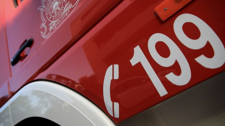 Εύβοια: Τραγικό τέλος για τον πυροσβέστη που αγνοούνταν – Τον κατασπάραξαν αγριογούρουνα