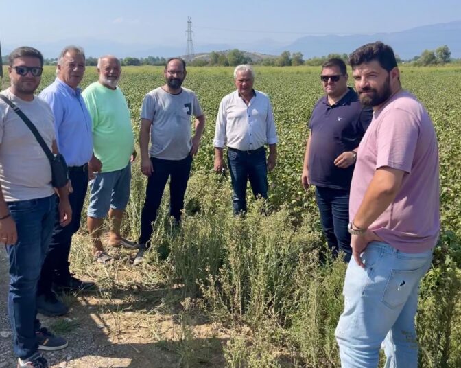 Στις πληγείσες από την κακοκαιρία περιοχές κλιμάκιο του ΕΛΓΑ