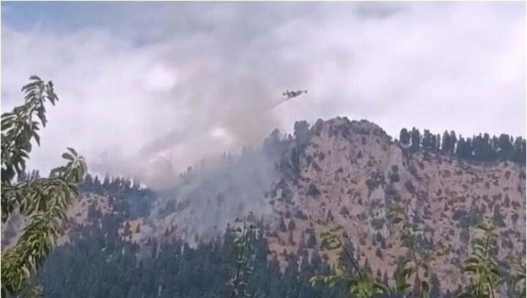 Τραυματίστηκε μετά από πτώση Πυροσβέστης στη φωτιά των Στουρναρέικων