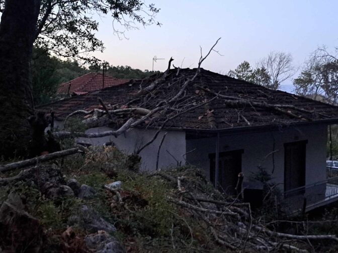 Έπεσε πλάτανος πανω σε σπίτι στο Ξυλοπάροικο (φωτό)