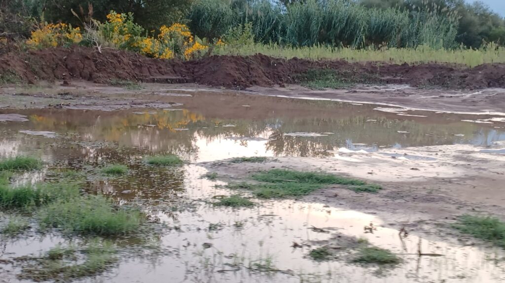 «Το έγκλημα συνεχίζεται…»