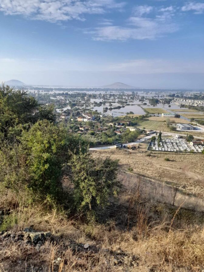 "Όλα τα νεκρά ζώα έχουν συλλεχθεί και έχουν ταφεί" στον δήμο Πύλης