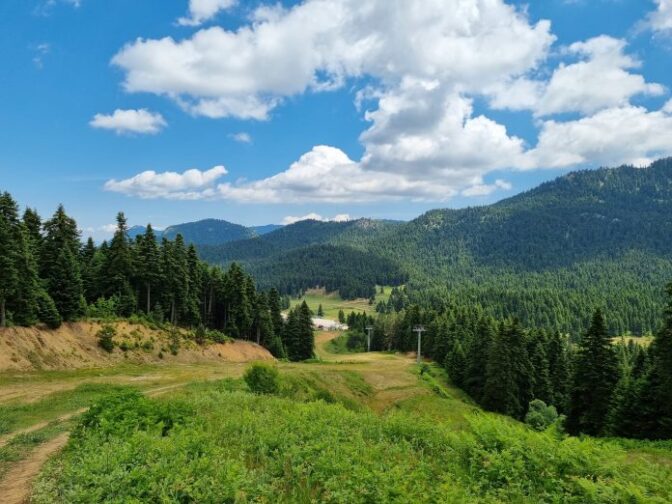 Να συνεχιστεί η συνεργασία του ΑΠΘ με τους δασικούς συνεταιρισμούς Περτουλίου