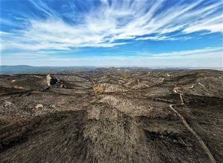 Παρέμβαση για τις πυρκαγιές από το Πανεπιστήμιο Θεσσαλίας
