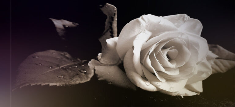 Οι Τρικαλινοί εφοριακοί αποχαιρετούν την Ιουλία Σταγάκη