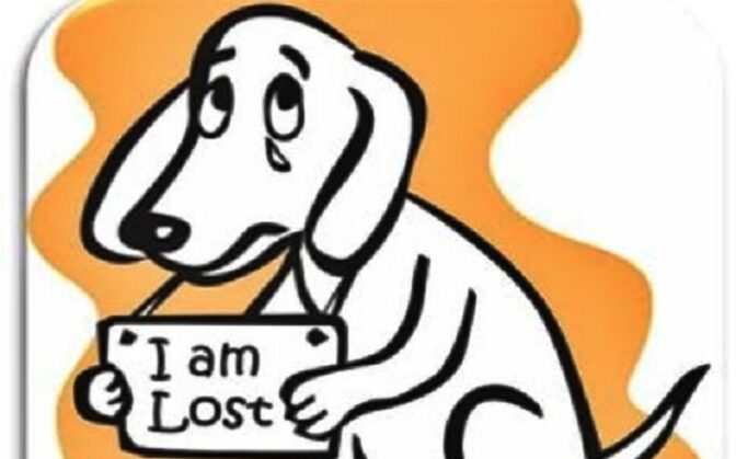 Αναζητείται σκυλάκι που χάθηκε στα Τρίκαλα