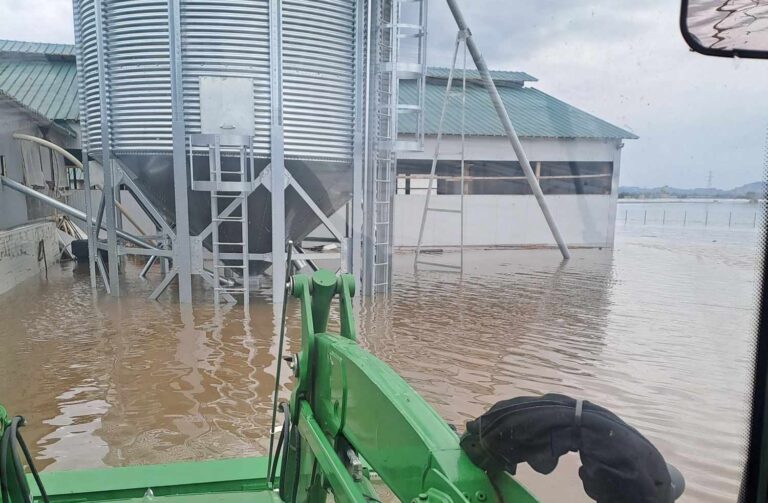 Θρήνος για 750 ζώα – Η ανάρτηση της Ιωαν. Καρρά της φάρμας Στάλος