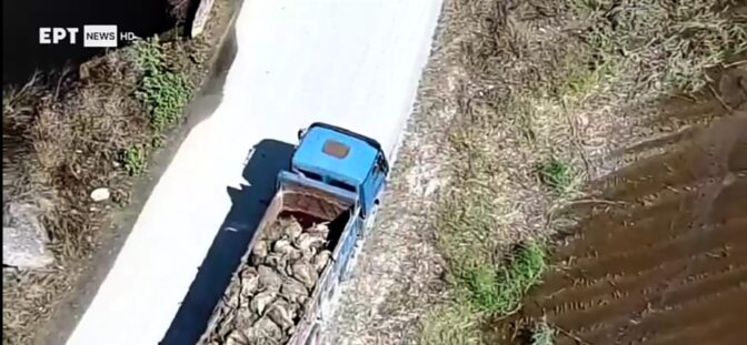 Ολέθρια αποτελέσματα για την Υγεία στη Θεσσαλία λόγω των νεκρών ζώων