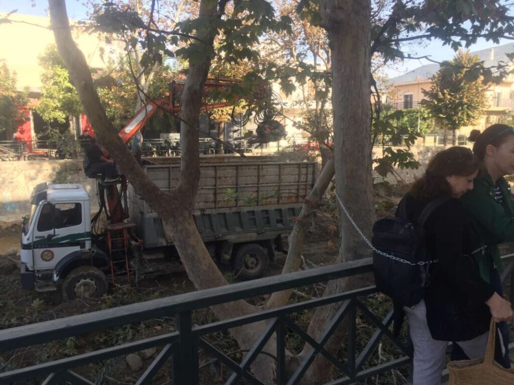 Πολίτες δέθηκαν στα δένδρα του Κραυσίδωνα για να μην κοπούν (φώτο)