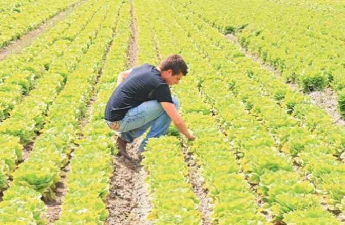 Διαδοχικές τομεακές συσκέψεις στη Θεσσαλία με παραγωγούς που έχουν πληγεί