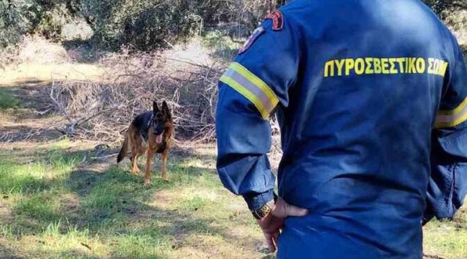 Εξαφανίστηκε γυναίκα από το σπίτι της στην Στυλίδα