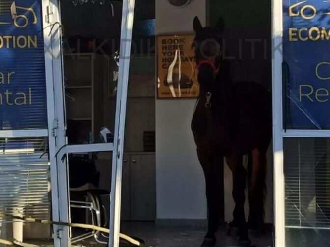 Αφηνιασμένο άλογο έκανε γυαλιά – καρφιά επιχείρηση με ενοικιαζόμενα αυτοκίνητα
