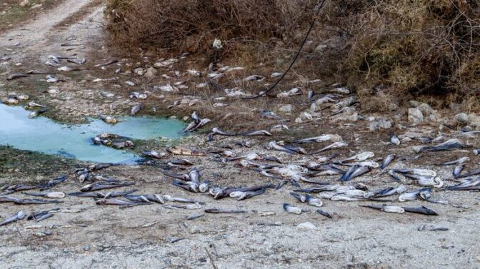 Άνοιξαν οι αιτήσεις για ενίσχυση αλιέων της Θεσσαλίας που επλήγησαν από τον Daniel
