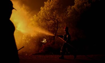 Ολονύχτια μάχη με τις φλόγες στην Κρανιά Ελασσόνας