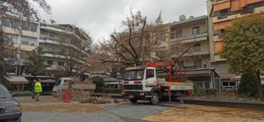 Βγήκαν τα πριόνια στην πλατεία Δεσποτικού!