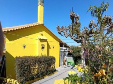 Ηλικιωμένος έβαψε ολόκληρο το σπίτι του ΑΕΚ (ΦΩΤΟ)