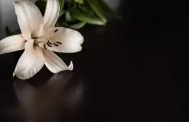 Έφυγε από τη ζωή ο Ιωάννης Κερασοβίτης