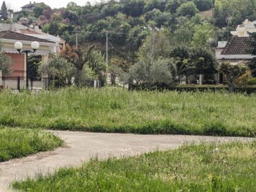 Οικισμός «Τρίκκη»: Τους έφαγαν τα...χορτάρια! (ΦΩΤΟ)