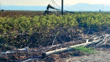Τα διαλυμένα αρδευτικά δίκτυα απειλούν τη σοδειά των Θεσσαλών