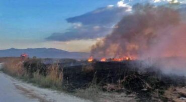 Πέφτουν "500άρια" πρόστιμα για καύση αγροτικών υπολειμμάτων στον Ν. Τρικάλων