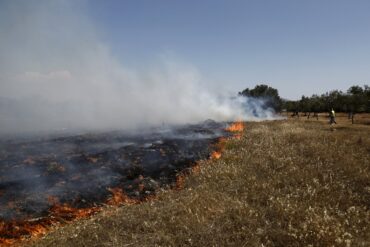 ΠΟΜΙΔΑ: Η πολιτεία μεταθέτει στους πολίτες την ευθύνη της πυροπροστασίας