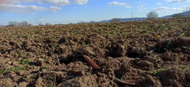 Έτοιμη η απάντηση στους "Ολλανδούς" από την Περιφέρεια Θεσσαλίας