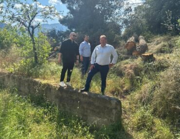 Δ. Μετεώρων: Κοπή «επικίνδυνων» δέντρων πέριξ του Κέντρου Υγείας
