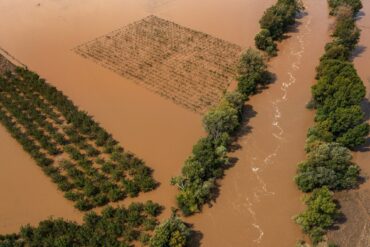 MasterPlan και Ανασυγκρότηση Θεσσαλίας: «Χαμένοι στην μετάφραση»