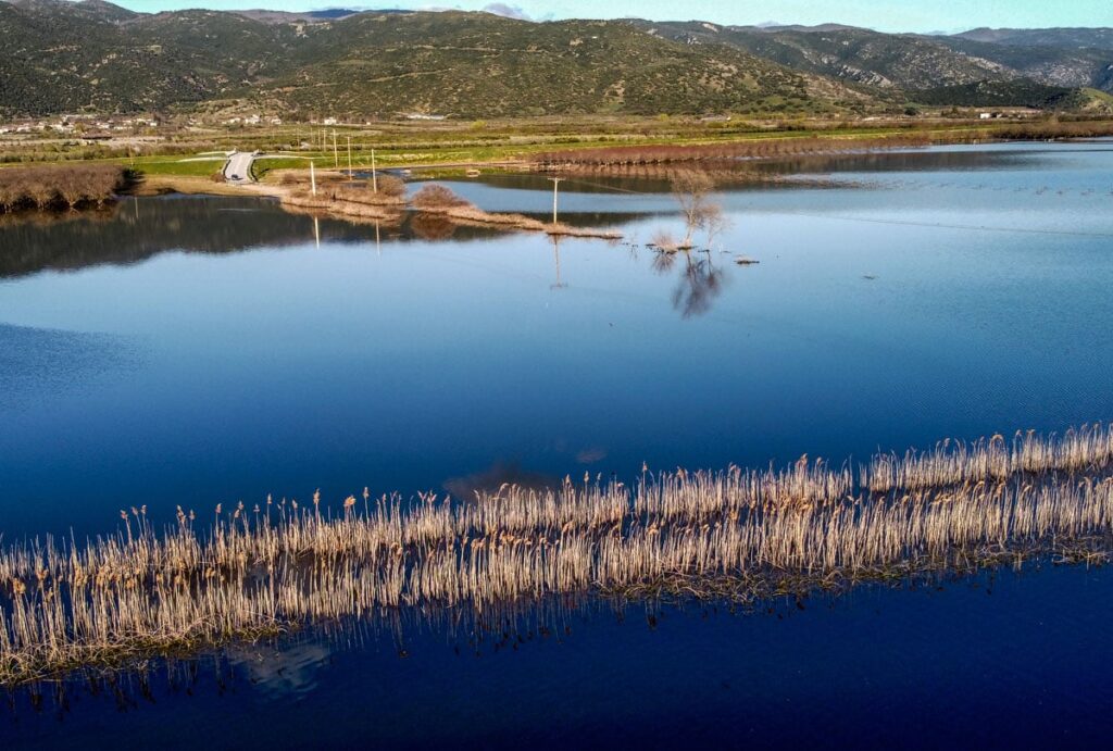 Θεσσαλία: Μέχρι και 30% αυξήθηκαν τα χημικά στοιχεία στο θαλάσσιο περιβάλλον μετά τις πλημμύρες