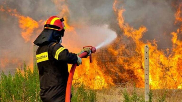 Mάχη της Πυροσβεστικής σε χωριό έξω από τη Λάρισα - Πάλευε όλο το βράδυ με τις φλόγες