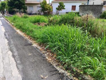 «Φούντωσε» πεζοδρόμιο στα Τρίκαλα - Οικολογικές... διαδρομές για πεζούς