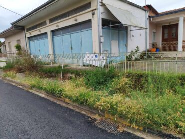 Πιάσαμε τους δρόμους και ξεχάσαμε τα πεζοδρόμια στα Τρίκαλα (ΦΩΤΟ)