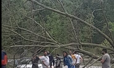 Θα μας πλακώσουν τα πλατάνια στα Τρίκαλα (ΦΩΤΟ)