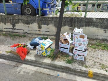Βγήκαν «τσάρκα» τα χαρτόκουτα στα Τρίκαλα (ΦΩΤΟ)