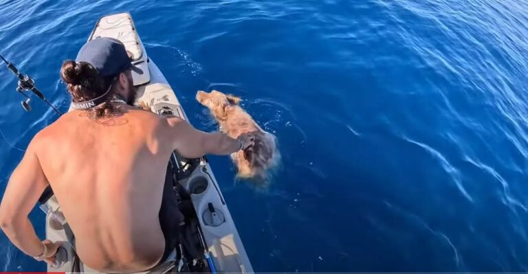 Tiktoker έσωσε σκύλο που τον βρήκε στη θάλασσα (Video)